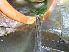-仁爱团泊湖温泉中心