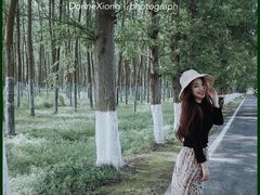 -黄海国家森林公园