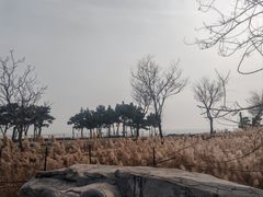 -青岛海泉湾度假区温泉