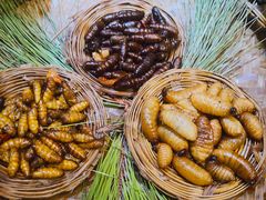 -昆虫窝子·特色云南菜(拓东路总店)
