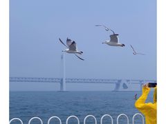 -星海广场