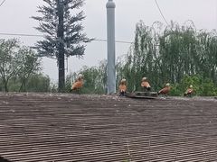 -太原动物园