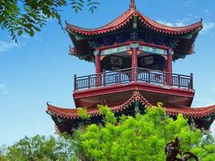 -南大港湿地风景区