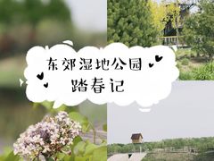 -东郊湿地公园