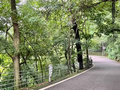 -缙云山景区