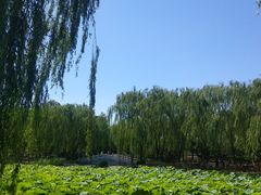 -东升八家郊野公园