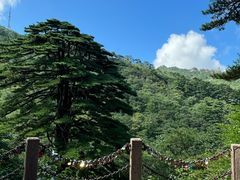 -黄山风景区