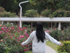 -人民公园(罗湖区)