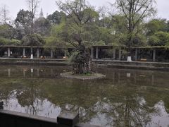 -四川大学(华西校区)