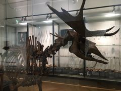 -丹麦国家博物馆