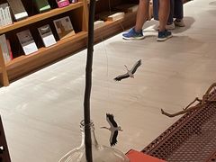 -二酉书店TOYOU BOOKS