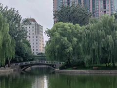 -团结湖公园