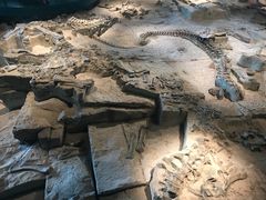 -自贡恐龙博物馆