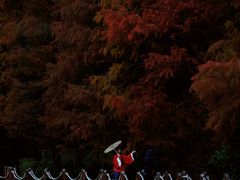 -深圳仙湖植物园