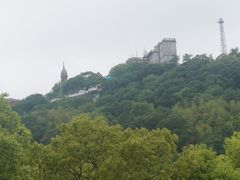 -上海佘山国家森林公园西佘山园