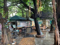 -柴犬高等学院·狗咖·柴犬售卖·宠物训练