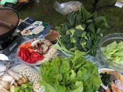 -前小桔亲子创意农场·草莓采摘·露营烧烤