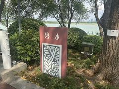 -贡湖湾湿地公园
