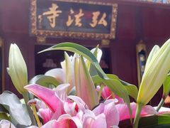-深圳仙湖植物园