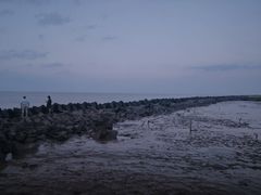-上海南汇嘴大堤酒店