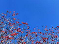 -西昌邛海湿地