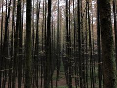 -山王坪喀斯特国家生态公园