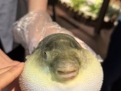 -肆月河豚·淮扬菜·湘菜(华天店)