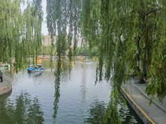 -团结湖公园