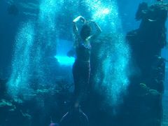 -海棠湾洲际-涛·海底餐厅·美人鱼·自助餐·海底隧道