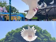 -海合安武汉极地海洋公园