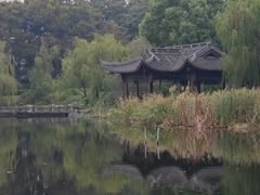 -日出青木