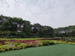 -广州长隆飞鸟乐园