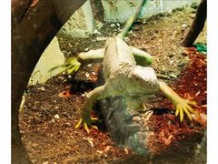 -济南野生动物世界