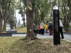 -马王堆汉墓遗址