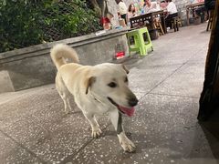 -夹夹大·蟹蟹大排档(财富又一城店)