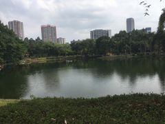 -晓港公园