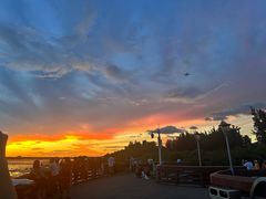 -宝安西湾红树林湿地公园