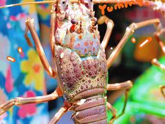 -阿里元海鲜·闽南特色菜(曾厝垵店)