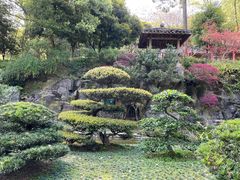 -南山植物园