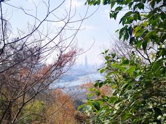 -紫金山山顶公园
