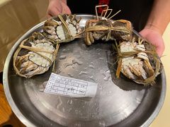 -王宝和酒家(黄浦店)
