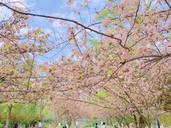 -成都南湖公园