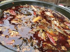 -老船夫石锅苗苗鱼·老字号(三道堰总店)