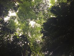 -迪瓦娜按摩和水疗中心