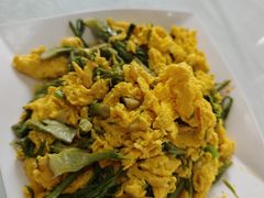 刺老芽炒笨鸡蛋-横道佛手居筋饼店