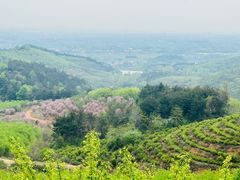 -冶父山国家森林公园