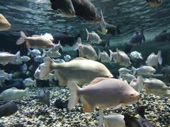 -成都浩海立方海洋公园