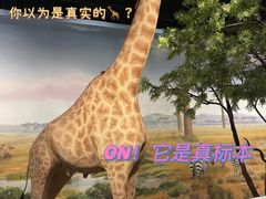 -浙江自然博物院(杭州馆)