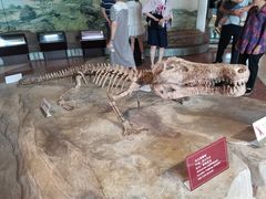 -自贡恐龙博物馆