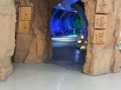 android_upload_pic-中国西峡恐龙遗迹园